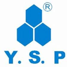 YSP